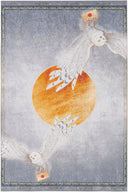 Harry Potter - Hedwig And Moon Halı - Empera